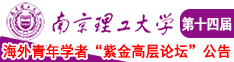 干屄视频视频南京理工大学第十四届海外青年学者紫金论坛诚邀海内外英才！